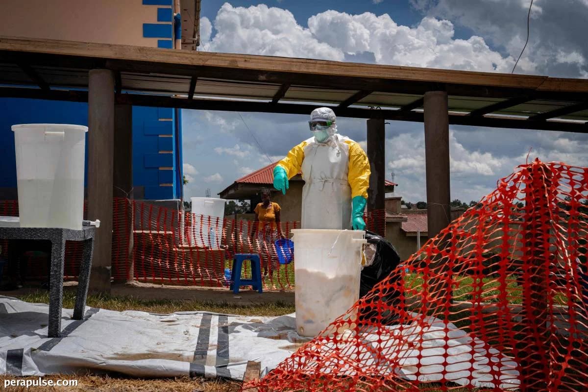 Ang paglaganap ng Ebola sa Gitnang Africa ay maaaring lumampas sa 20,000 kaso kung walang epektibong mga hakbang