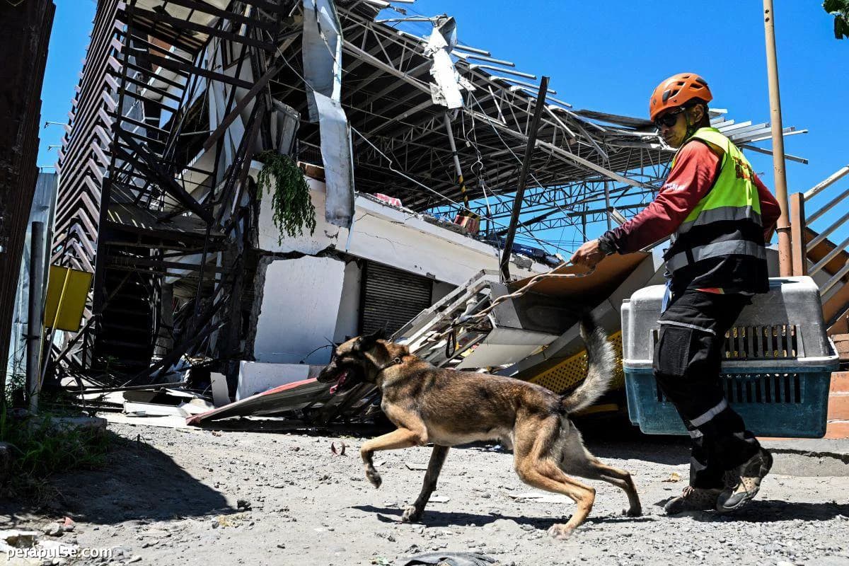 Local, International Celebrities Offer Their Sympathy to Mindanao Earthquake Victims